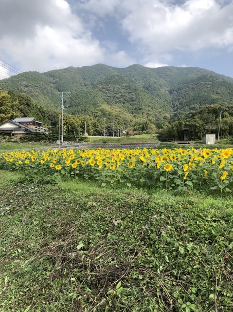 S__12173323.jpg